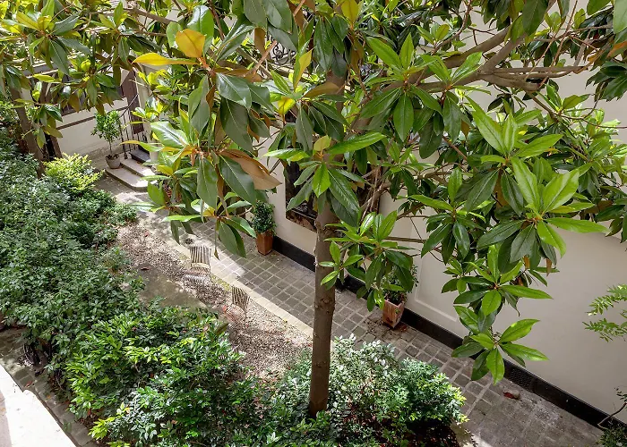 Pick A Flat\'S Apartment In Saint-Germain Des Pres - Rue Paul Louis Courier